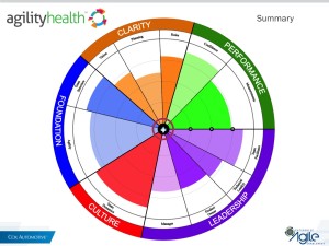 Agile Assessment Tool AgilityHealth Rene Rosendahl Southern California Agile Leadership Summit