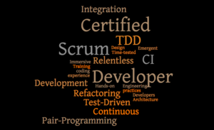 Certified Scrum Developer Training