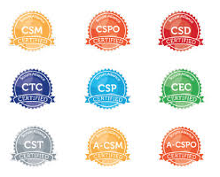 SEU Requirements for CSM and CSPO