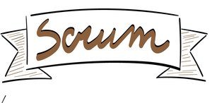 Northern Star Consulting Do you Scrum Manoj Vadakkan agile training