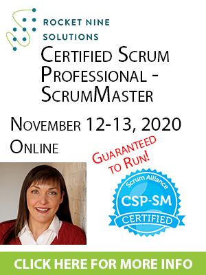 Certified Scrum Professional - ScrumMaster