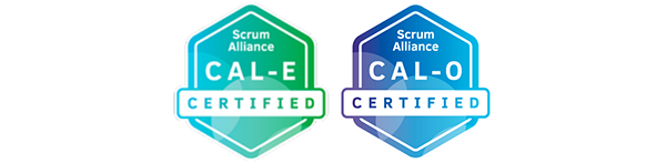 certified agile leadership essentials organizations